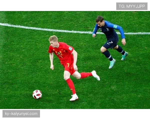 格列兹曼与德布劳内组织推进职责分散的成因与影响